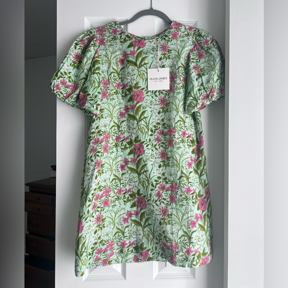 Olivia James Dress (XS)